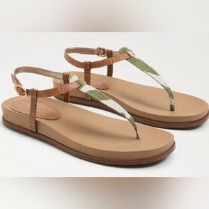 NIB🔥Sam Edelman "Naomi" Tan and Green Print T-strap Leather Sandals🌴 Sz 9